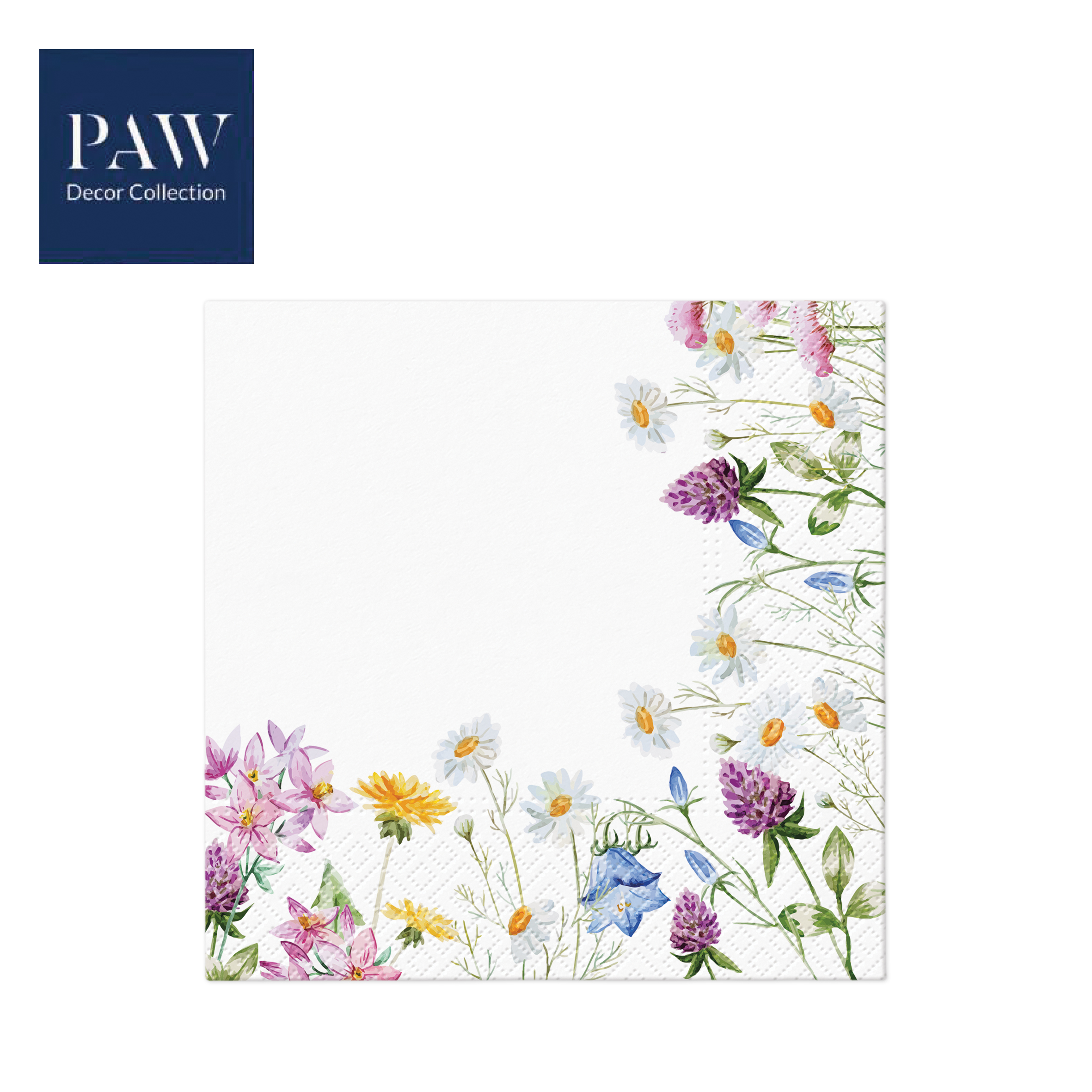 SALVETE PAW LUX SPRING FRAME 33X33 1/20 PAKOVANJE 1/12 - PAW SP | Party, kraft, kreativni i dekorativni program | NBK